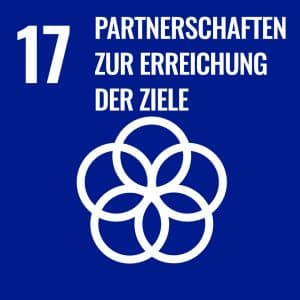 SDG 17 Icon Ziel 17 Ziele für nachhaltige Entwicklung digikids